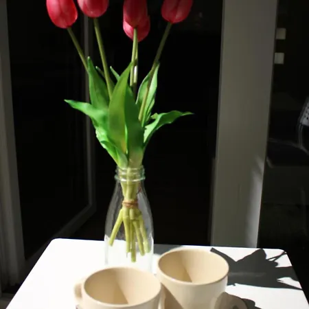 Nyugalom Appartement *